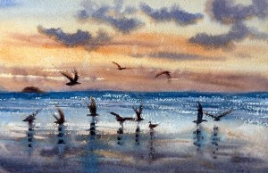 Gaviotas
Kalatxoriak
18x27
37x45